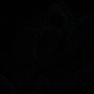 Meet your Posher, Shanelle